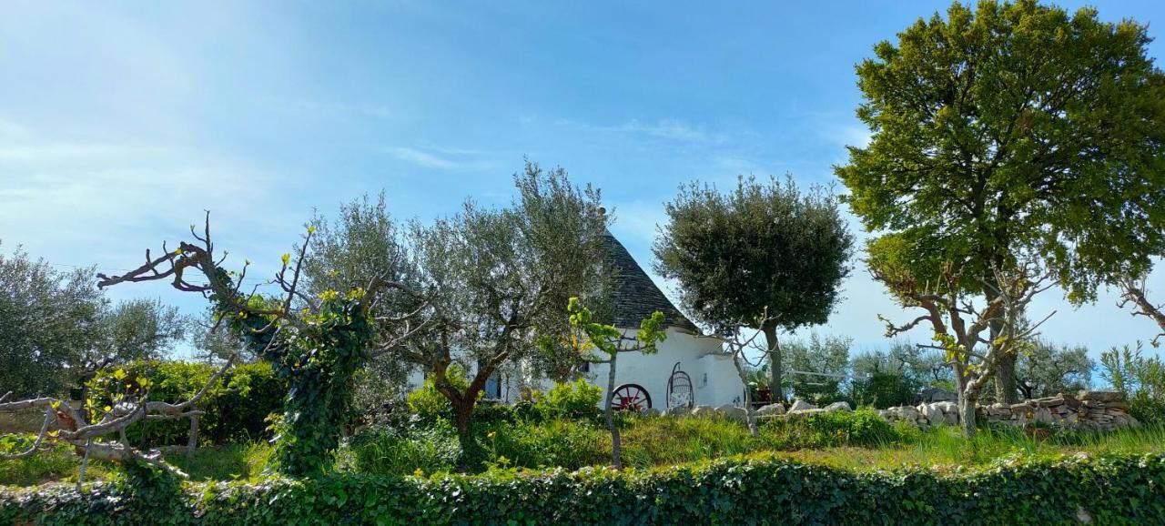 Antico Trullo Immerso Nella Campagna Alberobello Kültér fotó